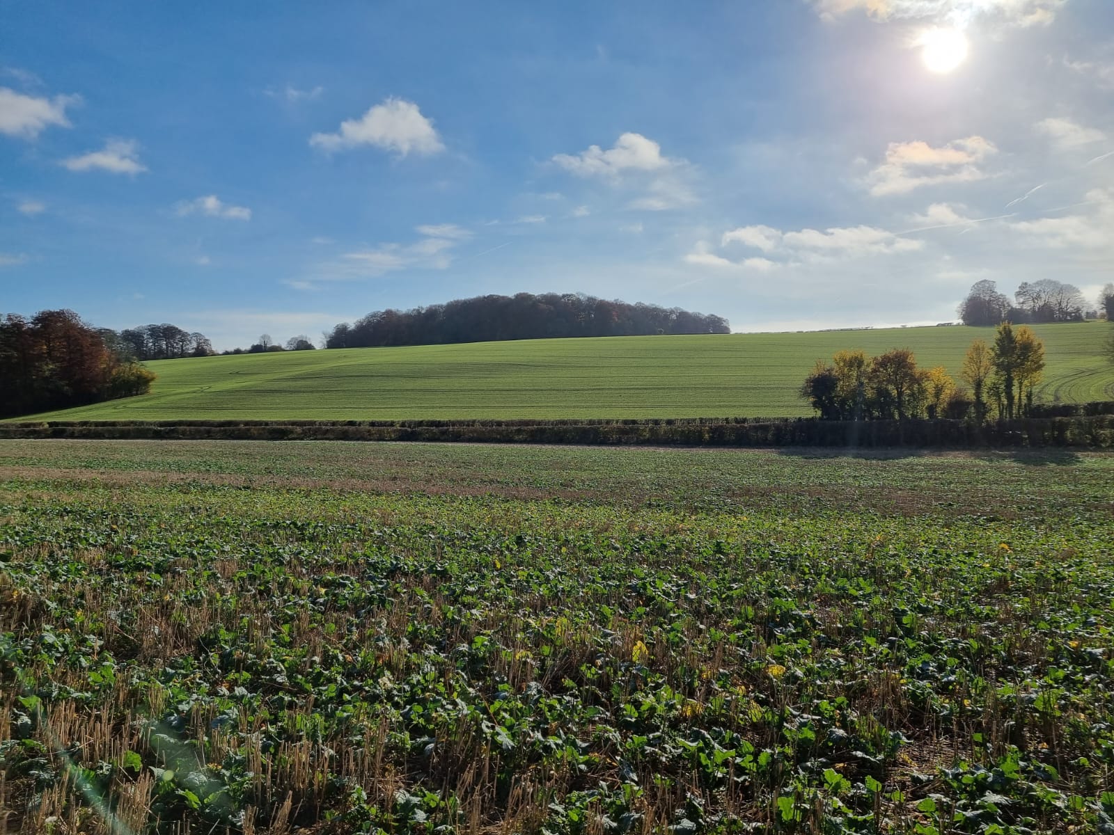 The Penn House Estate Penn House